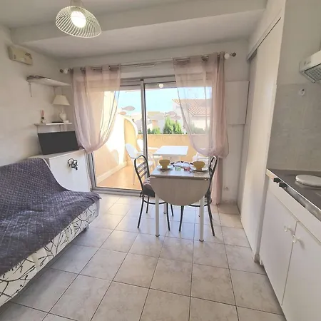 Lumineux Avec Terrasse Sud Et Parking Securise - Fr-1-387-45 Apartment *